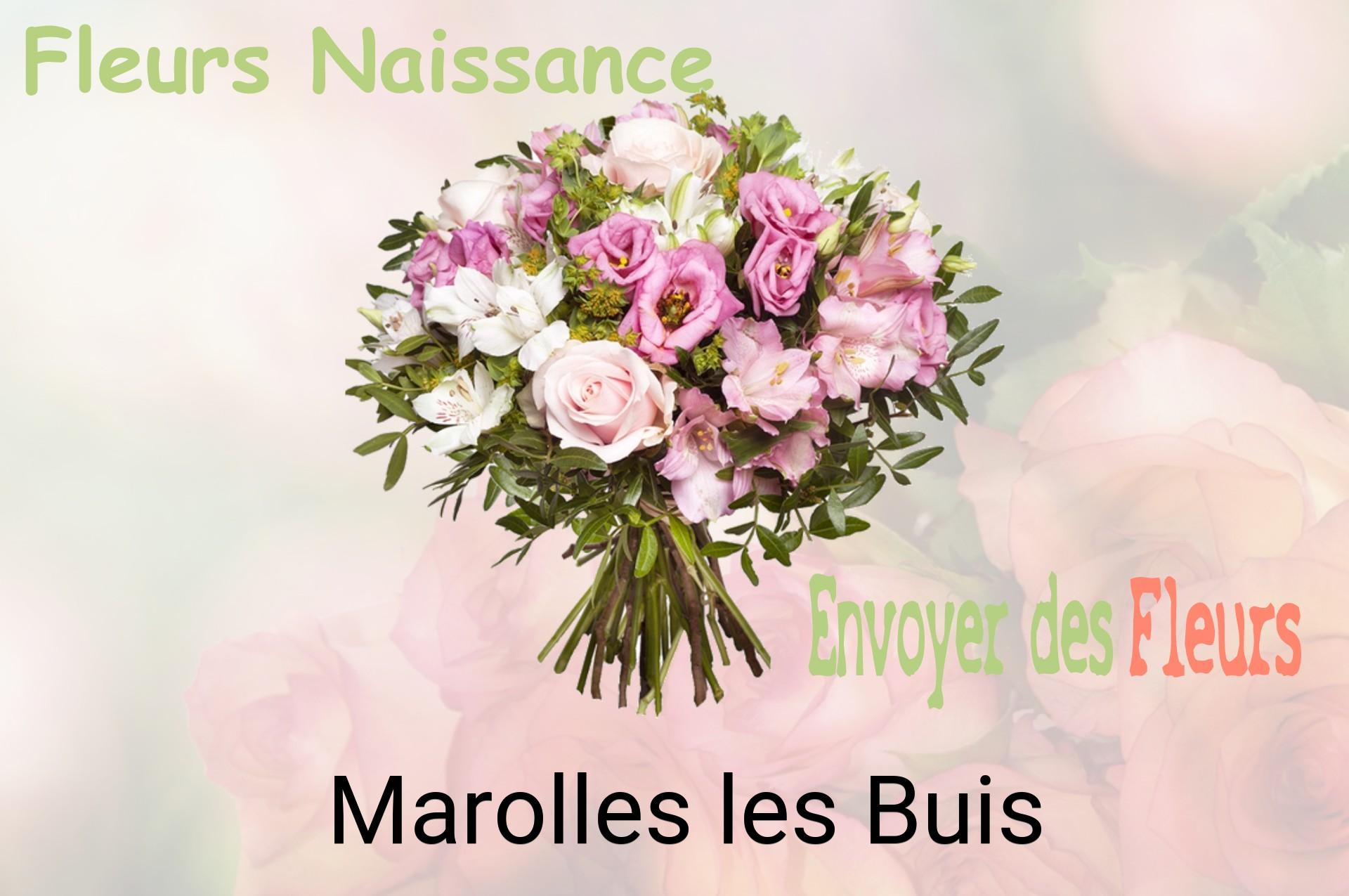 Bouquet de fleurs de naissance livré à Marolles-les-Buis